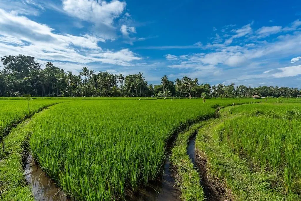Family Villa Ubud, 2 Bedrooms, Shared Pool, Garden, Rice Field & Jungle Views 0*, Ubud (Bali) Indonesia